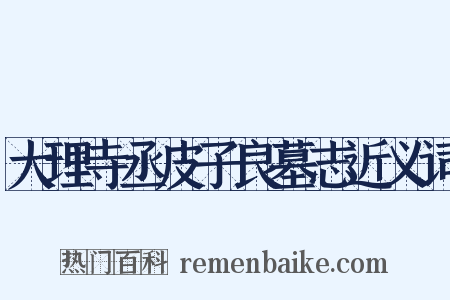 大理寺丞皮子良墓志近义词是什么意思的图片